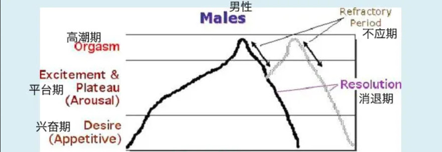 令人迷惑的“賢者模式”，抽搐后索然無味插圖1