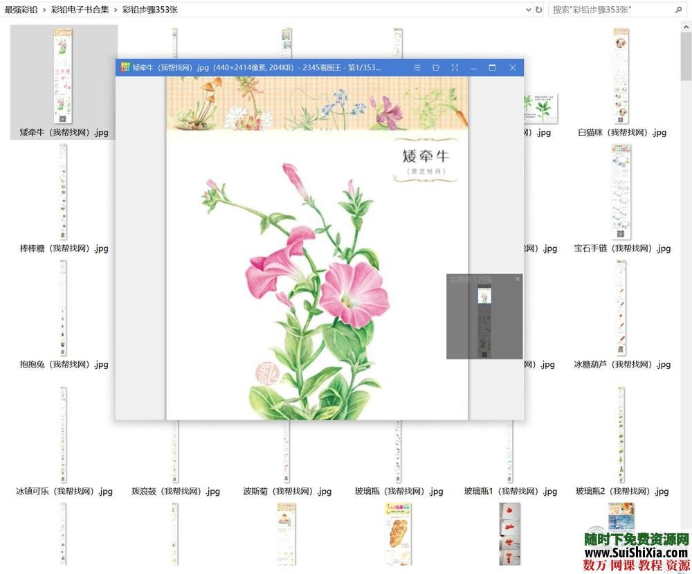 40G最強(qiáng)彩鉛零基礎(chǔ)入門到高手教學(xué)教程，包括大量電子書和繪畫視頻_趣資料視頻資源插圖6