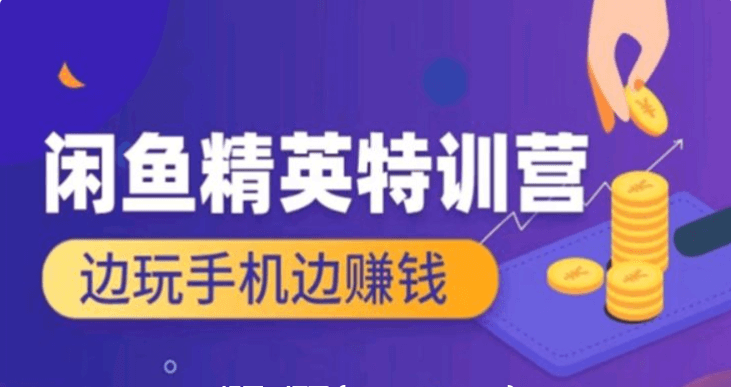 翼牛學(xué)堂：閑魚精英特訓(xùn)營進階班，邊玩手機邊賺錢價值4999元-百度云網(wǎng)盤教程視頻插圖