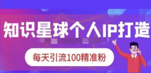 知識星球個人IP打造系列課程，每天引流100精準(zhǔn)粉【視頻教程】百度網(wǎng)盤插圖