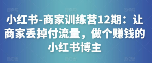 小紅書-商家訓(xùn)練營12期：讓商家丟掉付流量，做賺錢小紅書博主百度網(wǎng)盤插圖