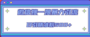 微信搜一搜引流全系列課程，日引精準(zhǔn)粉500+（8節(jié)課）百度網(wǎng)盤插圖