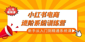 小紅書電商高階系統(tǒng)教程，新手從入門到精通系統(tǒng)課百度網(wǎng)盤插圖