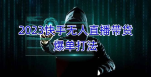 2023快手無人直播帶貨爆單教程，可批量放大操作百度網(wǎng)盤插圖