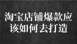 冠東?爆款店鋪淘系爆款選品方法，一個好選品思路決定是否盈利百度網(wǎng)盤插圖