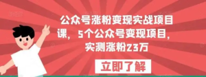 公眾號漲粉變現(xiàn)實戰(zhàn)項目課，5個公眾號變現(xiàn)，漲粉23萬百度網(wǎng)盤插圖