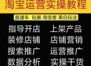 2023淘寶開(kāi)店教程0基礎(chǔ)到高級(jí)全套視頻網(wǎng)店電商運(yùn)營(yíng)培訓(xùn)教學(xué)課程（2月更新）百度網(wǎng)盤插圖