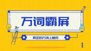 百度萬詞霸屏實(shí)操項(xiàng)目引流課，30天霸屏10萬關(guān)鍵詞百度網(wǎng)盤插圖