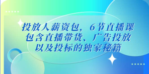 三里屯?投放人薪資包，6節(jié)直播課，直播帶貨、廣告投放獨(dú)家秘籍百度網(wǎng)盤(pán)插圖