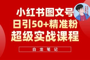 小紅書圖文號日引50+精準(zhǔn)流量，新手小白實(shí)戰(zhàn)的小紅書引流課百度網(wǎng)盤插圖