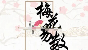 易小生《梅花易數(shù)》直播課程視頻13集百度網(wǎng)盤插圖