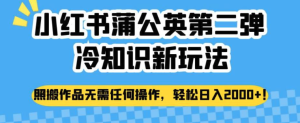 小紅書蒲公英冷知識新玩法，照搬作品賺錢副業(yè)百度網(wǎng)盤插圖