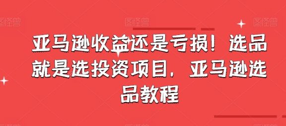 亞馬遜收益還是虧損！選品就是選投資項(xiàng)目，亞馬遜選品教程插圖