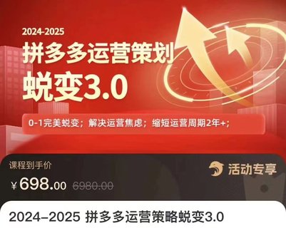 【電商上新】083.大力·2024-2025拼多多運(yùn)營策略蛻變3.0 0~1完美蛻變，解決信息焦慮