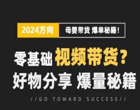 短視頻母嬰賽道實操流量訓練營，零基礎視頻帶貨，好物分享，爆量秘籍插圖