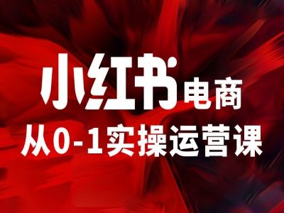 小紅書電商從0-1實(shí)操運(yùn)營(yíng)課，讓你從小白到精英插圖