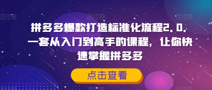 拼多多爆款打造標準化流程2.0，一套從入門到高手的課程，讓你快速掌握拼多多插圖