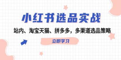 《小紅書選品實戰(zhàn)》站內、淘寶天貓、拼多多，多渠道選品策略插圖