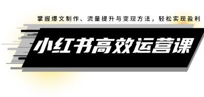 《小紅書高效運營課》掌握爆文制作、流量提升與變現(xiàn)方法，輕松實現(xiàn)盈利插圖