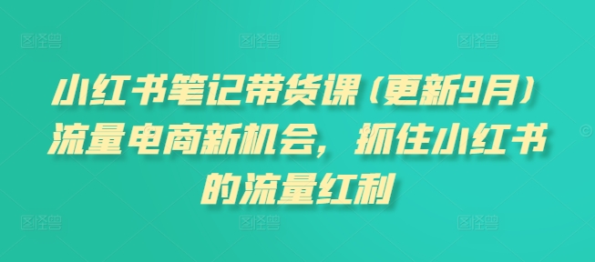 小紅書筆記帶貨課(更新9月)流量電商新機會，抓住小紅書的流量紅利